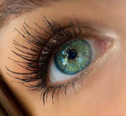 عدسات تجميلية FATY LENSES