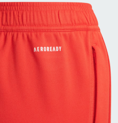 بنطال تدريب بايرن ميونخ رجالي FC Bayern Training Pants - Men's