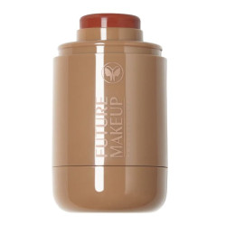 بلاشر بلوم ستيك Bloom Blush Stick