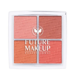 بلاشر أربعة ألوان 4 Color Blush