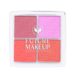 بلاشر أربعة ألوان 4 Color Blush