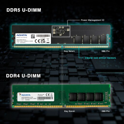 وحدة ذاكرة ADATA DDR5-5600 U-DIMM - 16 جيجابايت (1× 16 جيجابايت) –  ذاكرة DIMM غير مخزنة 288 دبوسًا ADATA DDR5-5600 U-DIMM Memory Module - 16GB (1x 16GB) – 5600 MT/s, 1.1 V, On-Die ECC, 288-Pin Unbuffered DIMM