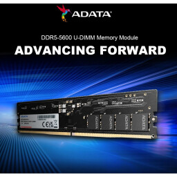 وحدة ذاكرة ADATA DDR5-5600 U-DIMM - 16 جيجابايت (1× 16 جيجابايت) –  ذاكرة DIMM غير مخزنة 288 دبوسًا ADATA DDR5-5600 U-DIMM Memory Module - 16GB (1x 16GB) – 5600 MT/s, 1.1 V, On-Die ECC, 288-Pin Unbuffered DIMM