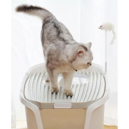 XL  لیتربوکس مغلق أزرق Covered Litterbox Blue XL