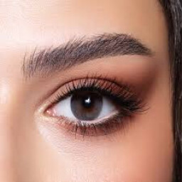 بيلا دايموند وود ستون Bella diamond contact lenses wood stone