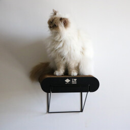 David L / رف خداشة David L - Cardboard Wall Shelf