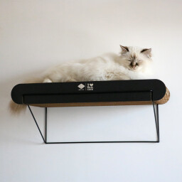 David L / رف خداشة David L - Cardboard Wall Shelf