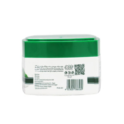 كريم الشعر بالصبار للنساء من الو ايفا - 85 جم Aloe Eva Aloe Vera Hair Cream for Women - 85g