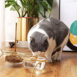 ماعون مزدوج زجاجي Glass Dual Bowls