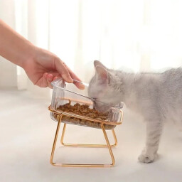 وعاء مزدوج شفاف Transparent Dual Bowl