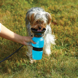 زجاجة ماء و وعاء Water Bowl Bottle