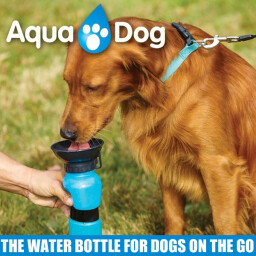 زجاجة ماء و وعاء Water Bowl Bottle