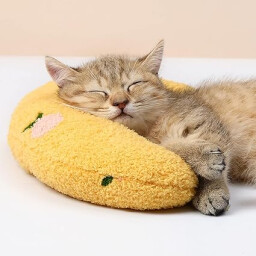 وسادة ناعمة Soft Calming Pillow