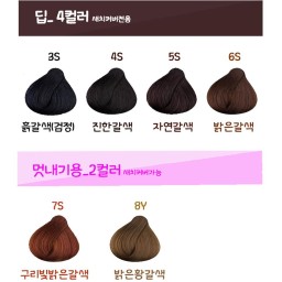 كريم صبغ شعر ساينغ موري Saengmeori Hair Color Cream