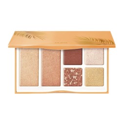 باليت هايلايتر وظلال عيون شاين برايت للوجه والعينين Shine Bright All in One Sparkling Palette Face and Eyes