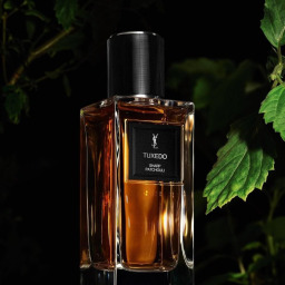 عطر توكسيدو شارب باتشولي أو دو بارفيوم للجنسين 125 مل Tuxedo Sharp Patchouli Eau de Parfum Unisex Perfume 125ml