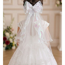 اكسسوار شعر hair accessories
