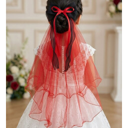 اكسسوار شعر hair accessories