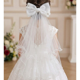 اكسسوار شعر hair accessories