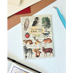 دفتر ملصقات Deco stickers
