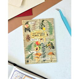 دفتر ملصقات Deco stickers