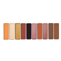 باليت ايشادو ويت إن وايلد كلر آيكون Wet n Wild Color Icon