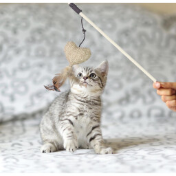 لعبة العصا Sticks Toy