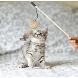 لعبة العصا Sticks Toy