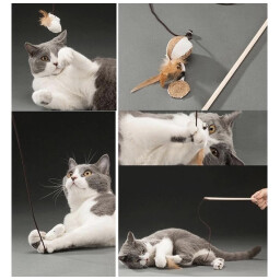 لعبة العصا Sticks Toy