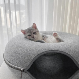 بیت القطط دائري 60cm Cat Tunnel Nest 60cm