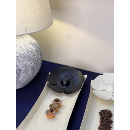 سيت ضيافه Plate service