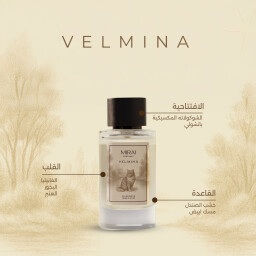 عطر القطة نسائي بحجم 100 مل VELMINA