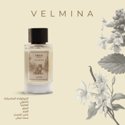 عطر القطة نسائي بحجم 100 مل VELMINA