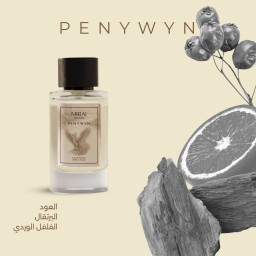 عطر الطائر العنقاء لكلا الجنسين بحجم 100 مل PENYWYN