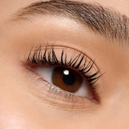 آيشادو مطفي Monochrome Matte Eyeshadow