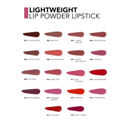 أحمر شفاه بودرة خفيف الوزن Lightweight Lip Powder Lipstick