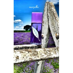 إليزابيث أردن غرين تي لافندر Elizabeth Arden Green Tea Lavender