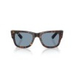 نظارة راي بان شمسية RAY BAN SUNGLASSES
