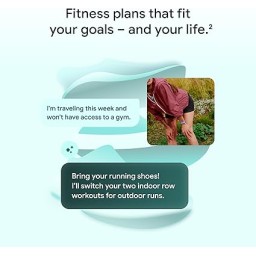 جوجل فيتبت إير Google Fitbit Air