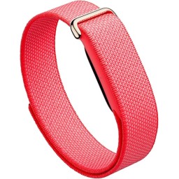 جوجل فيتبت إير Google Fitbit Air