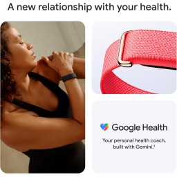 جوجل فيتبت إير Google Fitbit Air