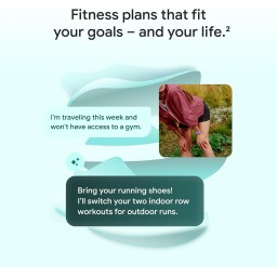 جوجل فيتبت إير Google Fitbit Air