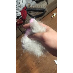 مشط إزالة الشعر Pet Grooming Tool