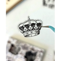 ملصقات الأبيض والأسود الكلاسيكية Extreme Black And White