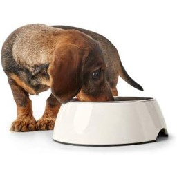 وعاء الطعام Food Bowl