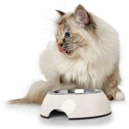 وعاء الطعام Food Bowl