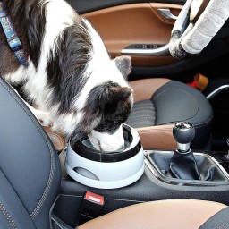 وعاء ماء مضاد للانزلاق للكلاب Non-Spill Water Bowl