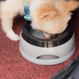 وعاء ماء مضاد للانزلاق للكلاب Non-Spill Water Bowl