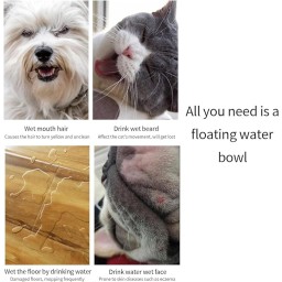 وعاء ماء مقاوم لرذاذ الماء للحيوانات الأليفة Splashproof Water Bowl for pets