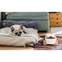 A09وعاء سيراميك مزدوج Dual Ceramic Bowl A09